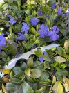 IMG_9638.jpeg