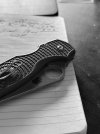 IMG_3503.jpeg