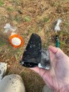 IMG_2818.jpeg