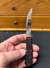 IMG_0074.jpeg