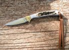 KIMG9177~2.JPG