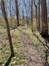 IMG_9679.jpeg