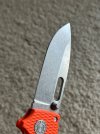 IMG_7904.jpeg