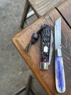IMG_8485.jpeg