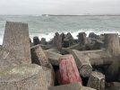 IMG_0710.jpeg