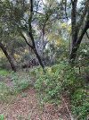 IMG_9251.jpeg