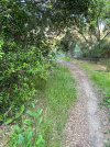 IMG_9252.jpeg