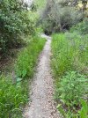 IMG_9253.jpeg