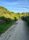 IMG_9256.jpeg