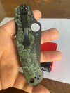 IMG_2870.jpeg