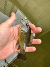 IMG_8708.jpeg