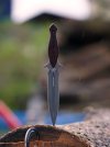 DSC01717.JPG