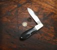 2024-tuna-OMN-proto-buffalo-01lo.jpg