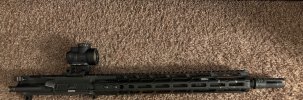 IMG_5102.jpeg