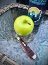 IMG_2111.jpeg
