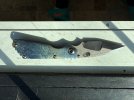 IMG_0615.jpeg