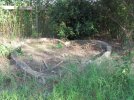 Fishpond Cleanup Finished.jpg