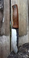 DSC_7813_zps4d59ab29.jpg