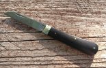KIMG8834~2.JPG
