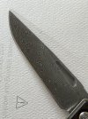 IMG_2776.jpeg