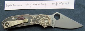 Para 5.jpg