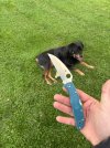 IMG_9704.jpeg