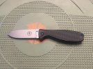 IMG_5362.jpeg