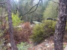 IMG_0773.jpeg