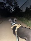 IMG_7546.jpeg