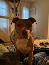 IMG_6320.jpeg
