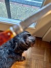 IMG_9164.jpeg