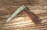 KIMG8974~2.JPG