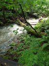 IMG_20190519_140932746_Original.jpeg