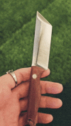1746023907210.gif