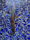 IMG_8903.jpeg