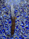 IMG_8904.jpeg