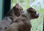 IMG_4234.jpeg