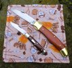 2025-04-30 WW GEC94 Kabar Folding Hunter.JPG