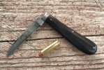 KIMG9177~2.JPG