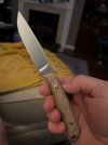 IMG_6217.jpeg