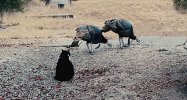 IMG_2402.jpeg