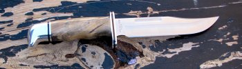 119 buckeye burl 75th custom copy.jpg