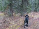 IMG_0554.JPG