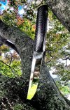 IMG_0639.jpeg