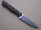 AEB-L & Desert Ironwood #2.jpg