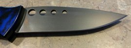 Piranha.04.jpg