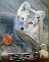 IMG_4659.jpeg