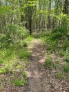 IMG_9853.jpeg