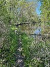IMG_0985.jpeg