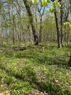 IMG_0993.jpeg